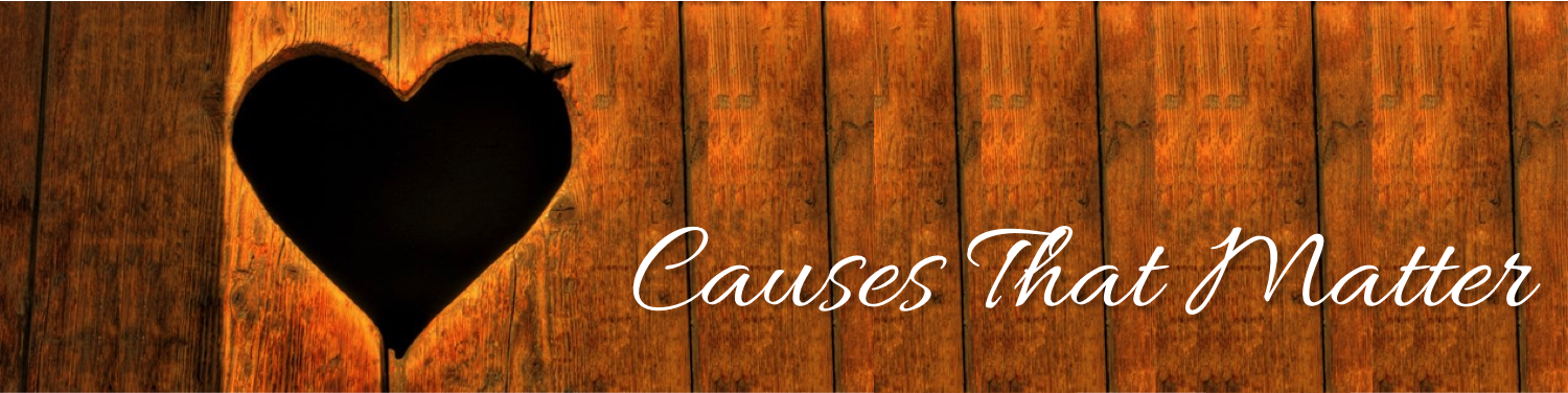 Cause Banner for K&S